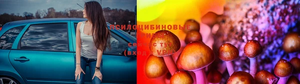 альфа пвп Ростов