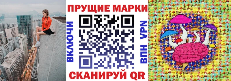 Купить закладки  Приволжск  Марки N-bome 1500мкг 