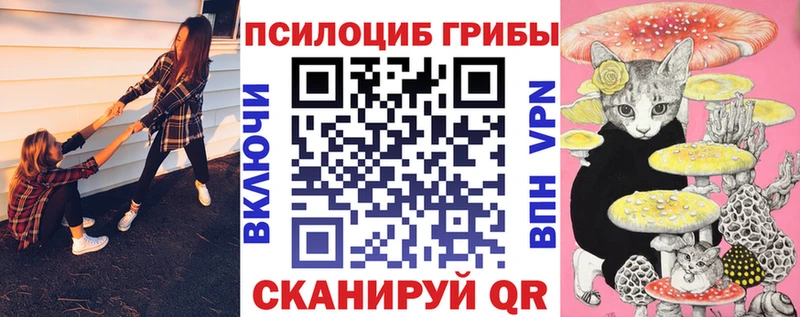 Купить закладки  Приволжск  Галлюциногенные грибы Psilocybe 